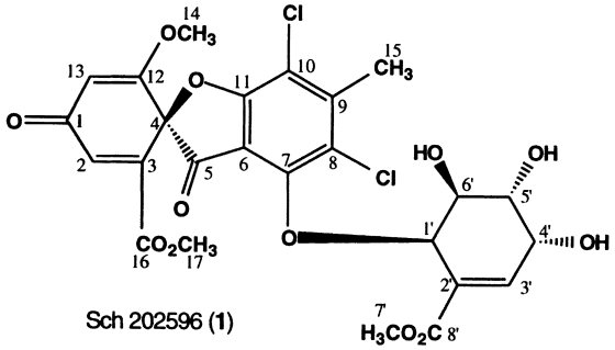 Sch 202596 structure